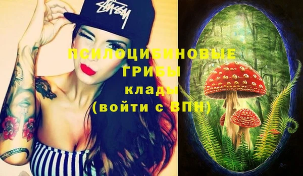 PSILOCYBIN Волоколамск