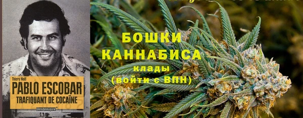 ГАЛЛЮЦИНОГЕННЫЕ ГРИБЫ Волосово