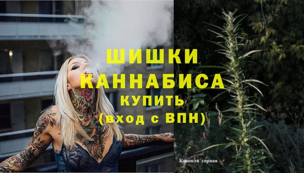 ГАЛЛЮЦИНОГЕННЫЕ ГРИБЫ Волосово