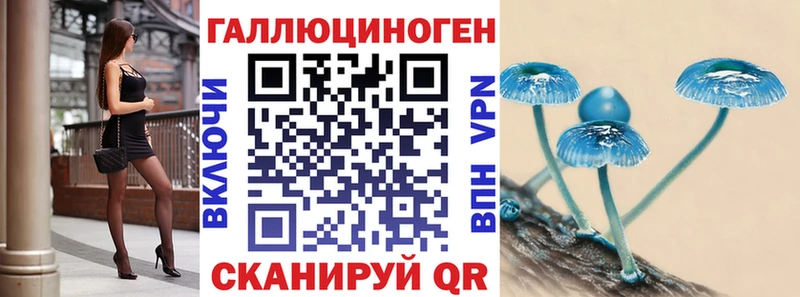 Псилоцибиновые грибы мухоморы  цена наркотик  мориарти официальный сайт  Дальнереченск 